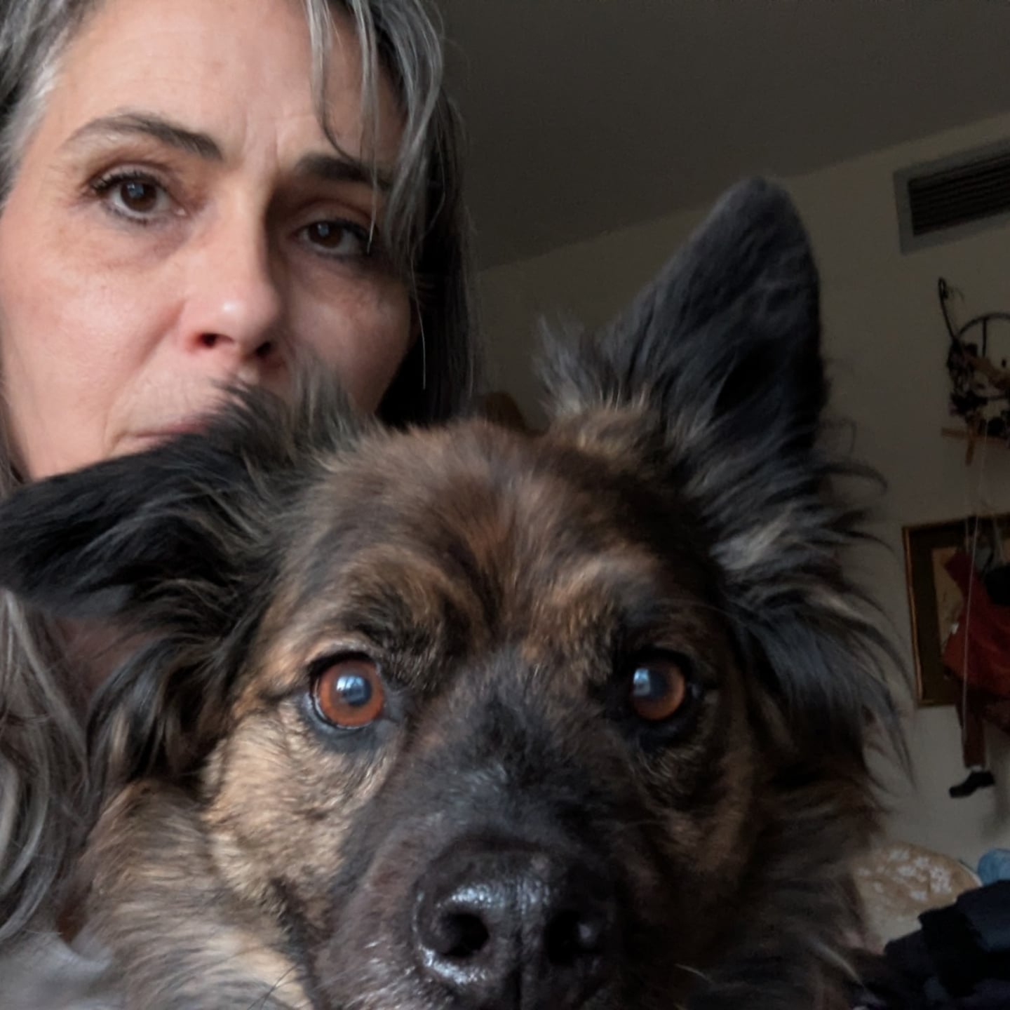 I spent years reading labels on everything I put in my body. Ingredients matter, right? 

It took me a little longer to apply that same thinking to what I put on my body and on Rudy's. 🐕‍🦺 Funny how that works. 

Now I'm just as intentional about my skincare and his 🐕‍🦺 as I am about what's in my kitchen.

What about you? Do you think about ingredients in your beauty products and pet care?